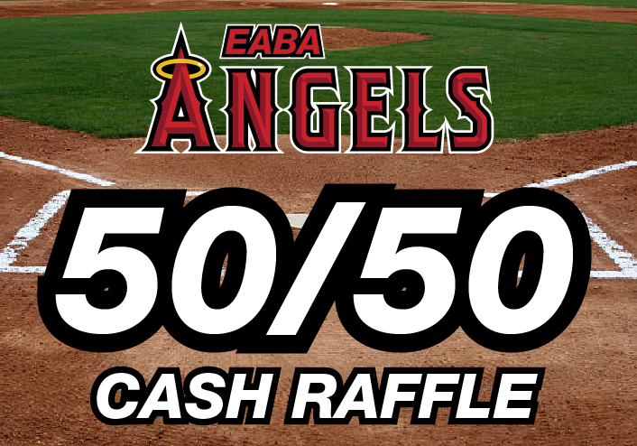 Edmonton Amateur Baseball Association – Focused on developing